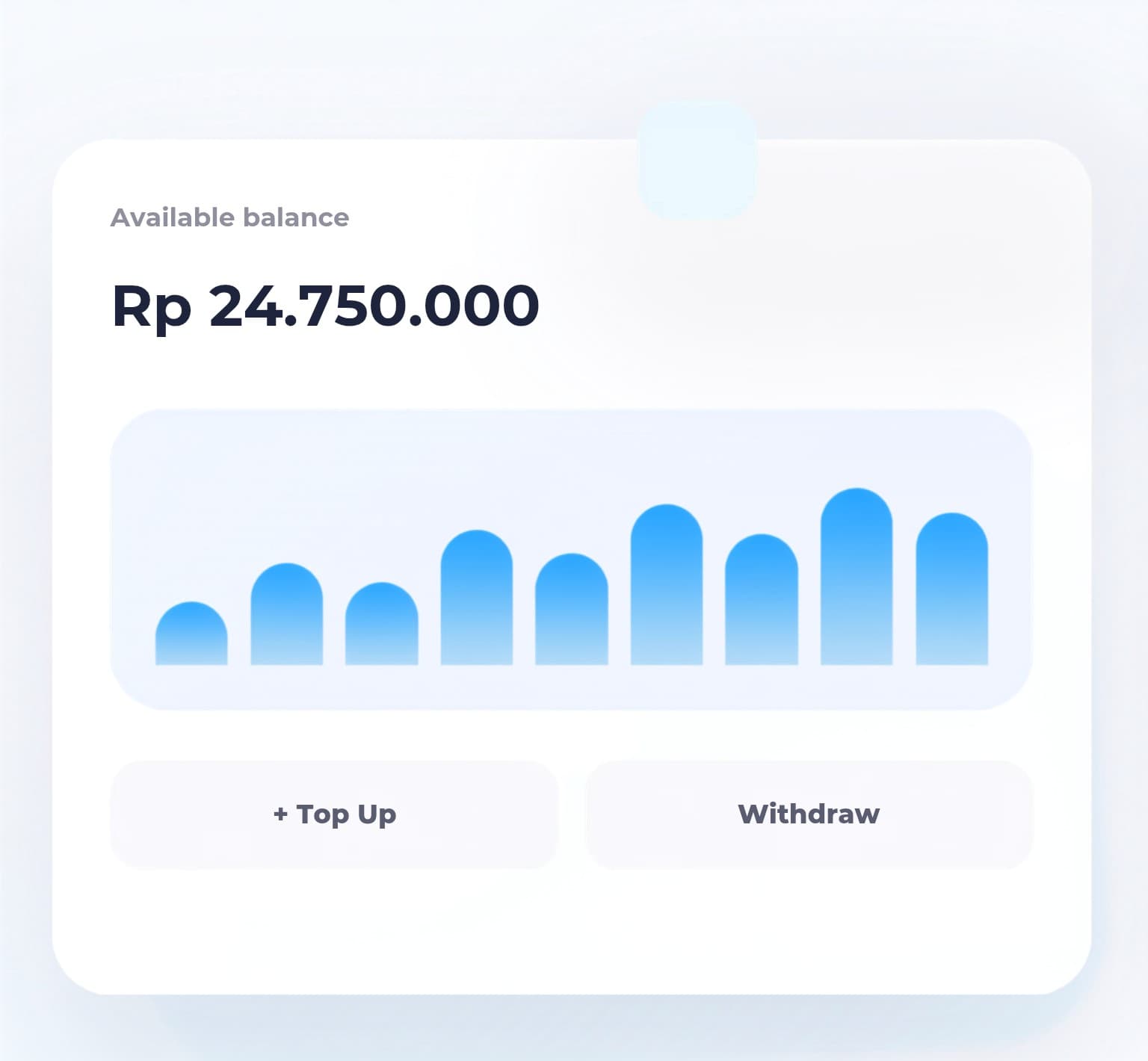 PayQRIS balance dashboard